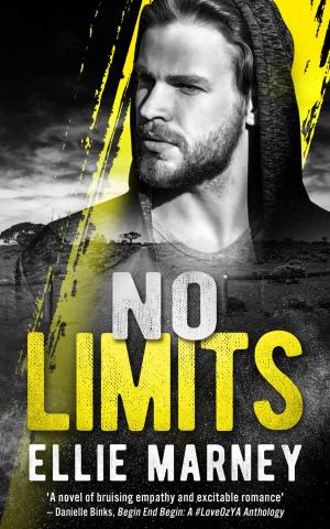 Book cover of No Limits