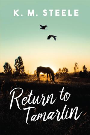 Cover of Return to Tamarlin