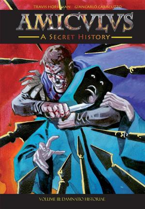 Cover of Amiculus: A Secret History: Volume III
