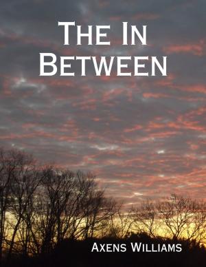bigCover of the book The In Between by 