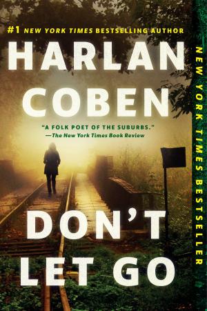 Cover of the book Don't Let Go by L.L. Foster