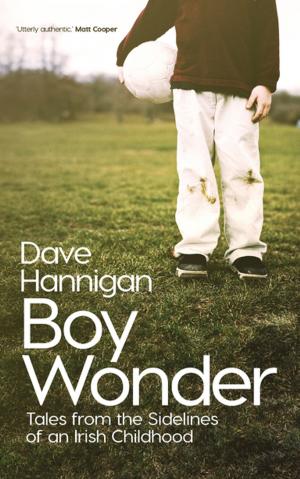 Cover of the book Boy Wonder by Max Caulfield