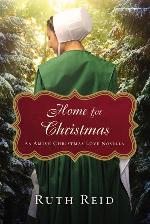 Cover of the book Home for Christmas by Max Lucado