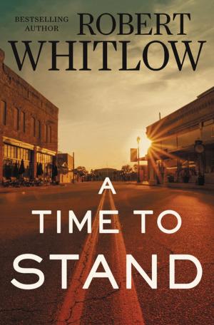 Cover of the book A Time to Stand by James A. Beverley