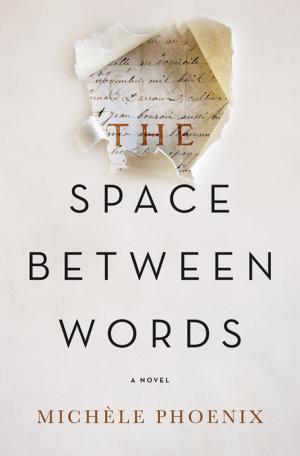 Book cover of The Space Between Words