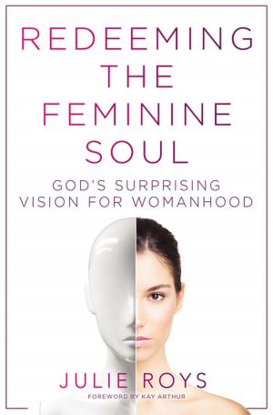 Cover of the book Redeeming the Feminine Soul by Kitty Foth-Regner