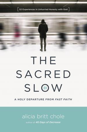Cover of the book The Sacred Slow by Scott Lamb
