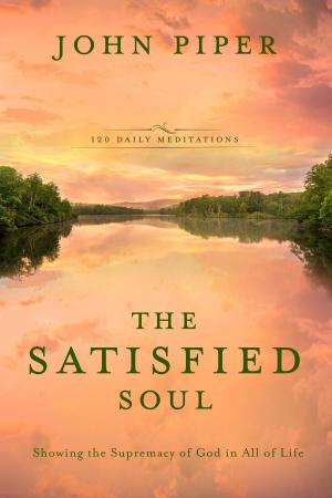 Book cover of The Satisfied Soul