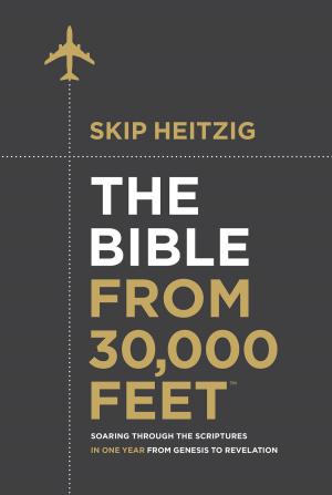 Book cover of The Bible from 30,000 Feet™