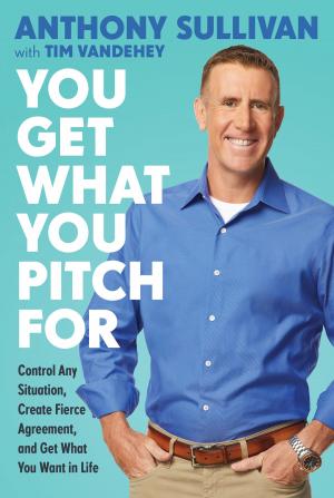 Cover of the book You Get What You Pitch For by Birgit Stutz, Lawrence Scanlan