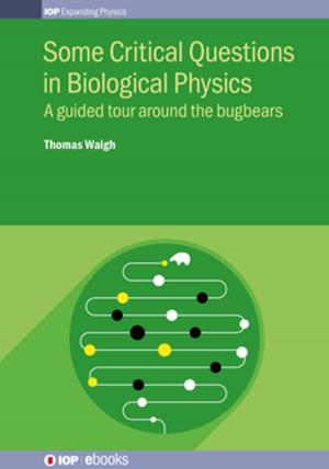 Cover of the book Some Critical Questions in Biological Physics by Henny J G L M Lamers, Emily M Levesque