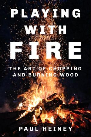 Cover of the book Playing with Fire by David Tremain