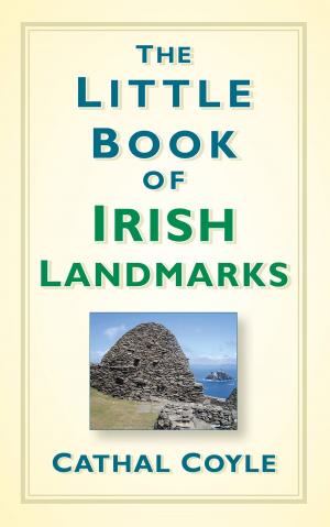 Book cover of Little Book of Irish Landmarks