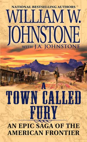Cover of the book A Town Called Fury by J.A. Johnstone