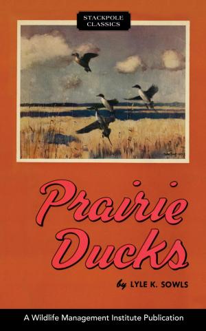 Cover of the book Prairie Ducks by E. A. Brininstool, J. W. Vaughn