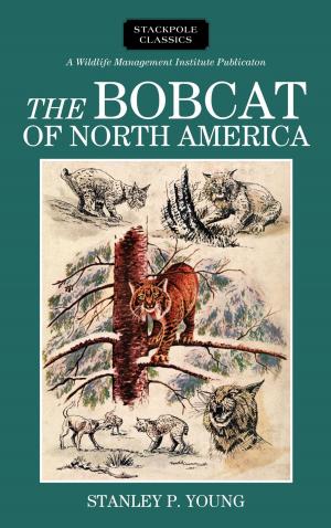 Cover of the book The Bobcat of North America by Sandy Allison