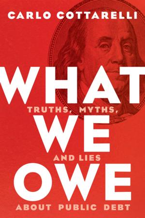 Cover of the book What We Owe by Vanda Felbab-Brown