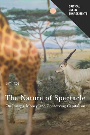 Cover of the book The Nature of Spectacle by Anne García-Romero