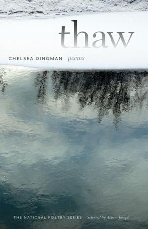 Cover of the book Thaw by Dana Johnson