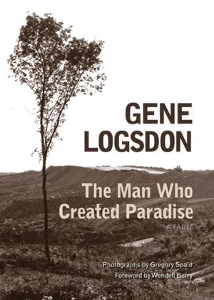Cover of the book The Man Who Created Paradise by Stephen E. Towne