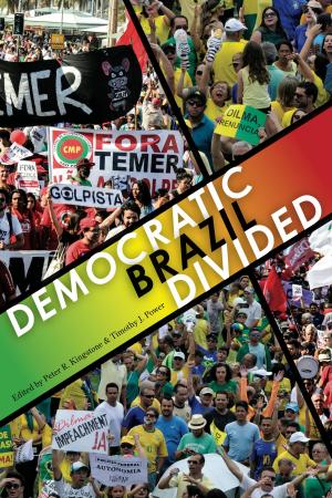 Cover of the book Democratic Brazil Divided by David Shumate