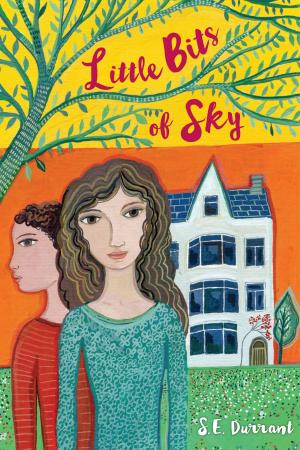 Cover of the book Little Bits of Sky by Emily Arnold McCully