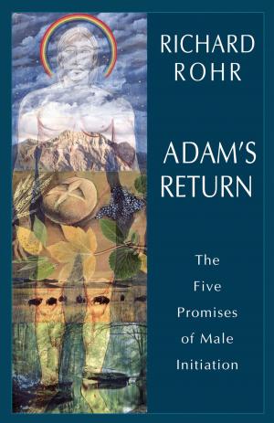 Cover of the book Adam's Return by Stratford Caldecott