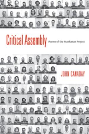 Cover of the book Critical Assembly by Halbert Jones