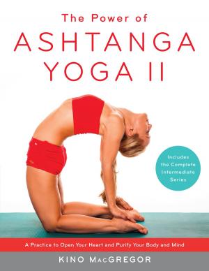 Cover of the book The Power of Ashtanga Yoga II by Garrett Busch