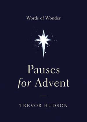 Cover of the book Pauses for Advent by Chris Wilterdink