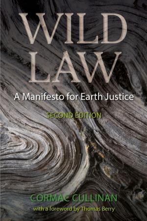 Cover of the book Wild Law by Ken Thompson