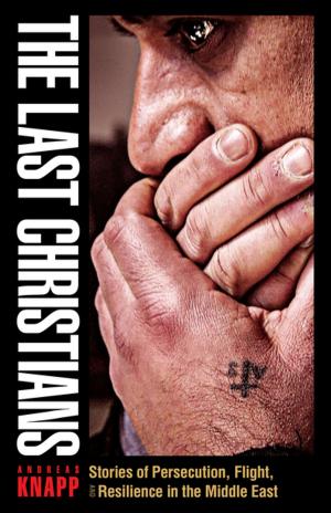 Cover of the book The Last Christians by Andrea Ciponte, Dacia Palmerino