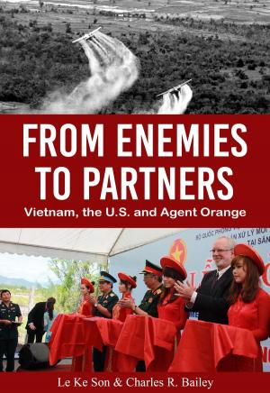 Book cover of From Enemies to Partners