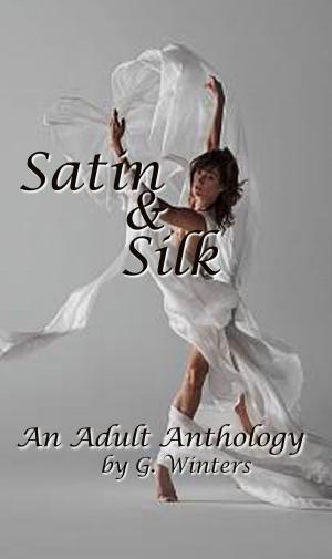 Cover of the book Satin and Silk-an adult anthology by Angie Torres