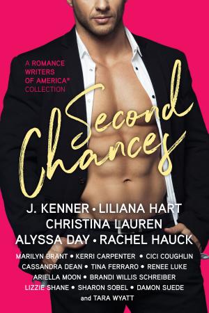 Cover of the book Second Chances by Deb Marlowe, Aileen Fish, Lily George