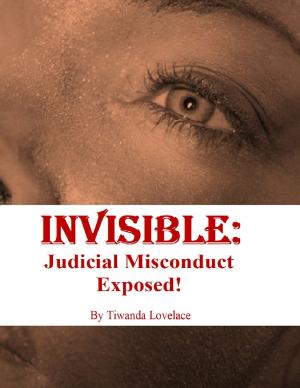 Cover of Invisible: Judicial Misconduct Exposed!