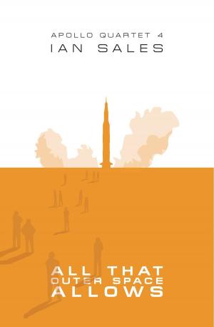 Cover of the book All That Outer Space Allows by D. F. Wink