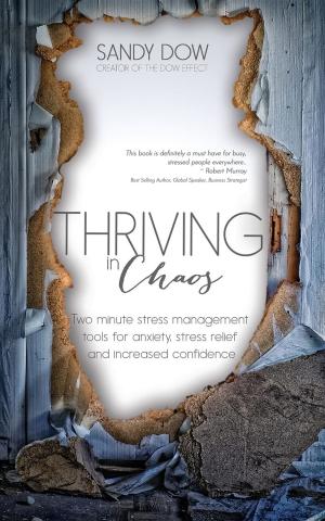 Cover of the book Thriving in Chaos by Saki Santorelli