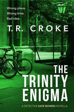 Cover of the book The Trinity Enigma by Peter Tong