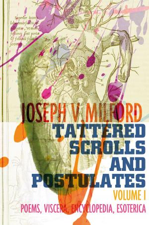 Cover of the book Tattered Scrolls and Postulates by Pronami Bhattacharyya