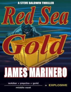 Cover of the book Red Sea Gold: A Steve Baldwin Thriller: Soldier + Psycho + Gold / Middle East = Explosive! by Noel Carroll