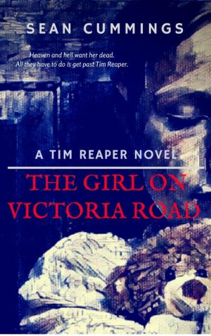 Cover of The Girl On Victoria Road
