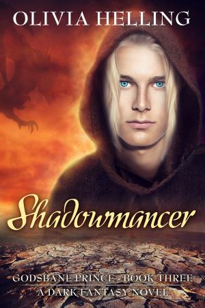 Book cover of Shadowmancer