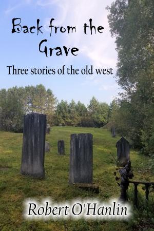 Cover of the book Back from the Grave by Robert O' Hanlin