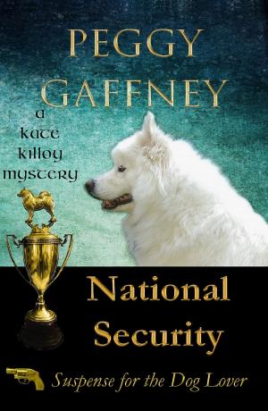 Cover of the book National Security: A Kate Killoy Mystery by Stefanie Matteson