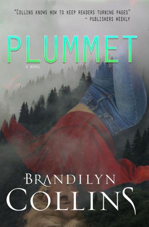 Cover of the book Plummet by Leopold Borstinski
