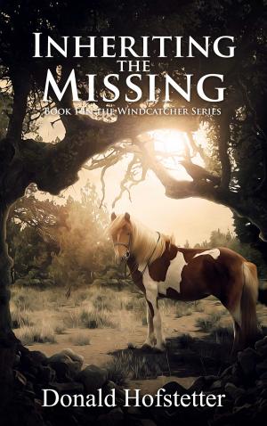 Cover of the book Inheriting the Missing by Maggie Craig