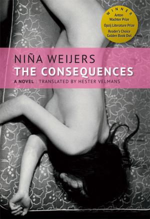 Cover of the book The Consequences by Ann Pearlman