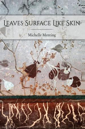Cover of the book Leaves Surface Like Skin by Geraldine Connolly
