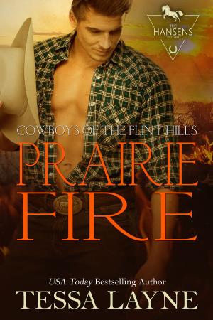 Cover of the book Prairie Fire by TL Clark
